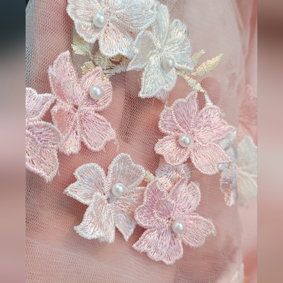 Ava Gowns Dresses Nwt Ava Gowns Princess Floral Embroidered Pearl